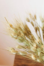 Load image into Gallery viewer, Dried Green Wheat

