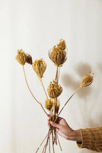 Load image into Gallery viewer, Yellow Queen Anne&#39;s Lace
