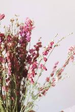 Load image into Gallery viewer, Pink Larkspur
