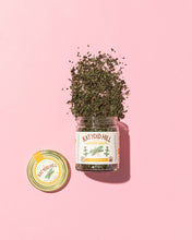 Load image into Gallery viewer, Lemon Balm Tea - Loose leaf single herbal tea: Jar (25 g)

