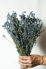 Load image into Gallery viewer, Dried Lavender
